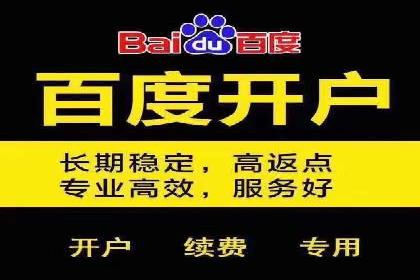 SEM广告案例：数据分析驱动营销决策